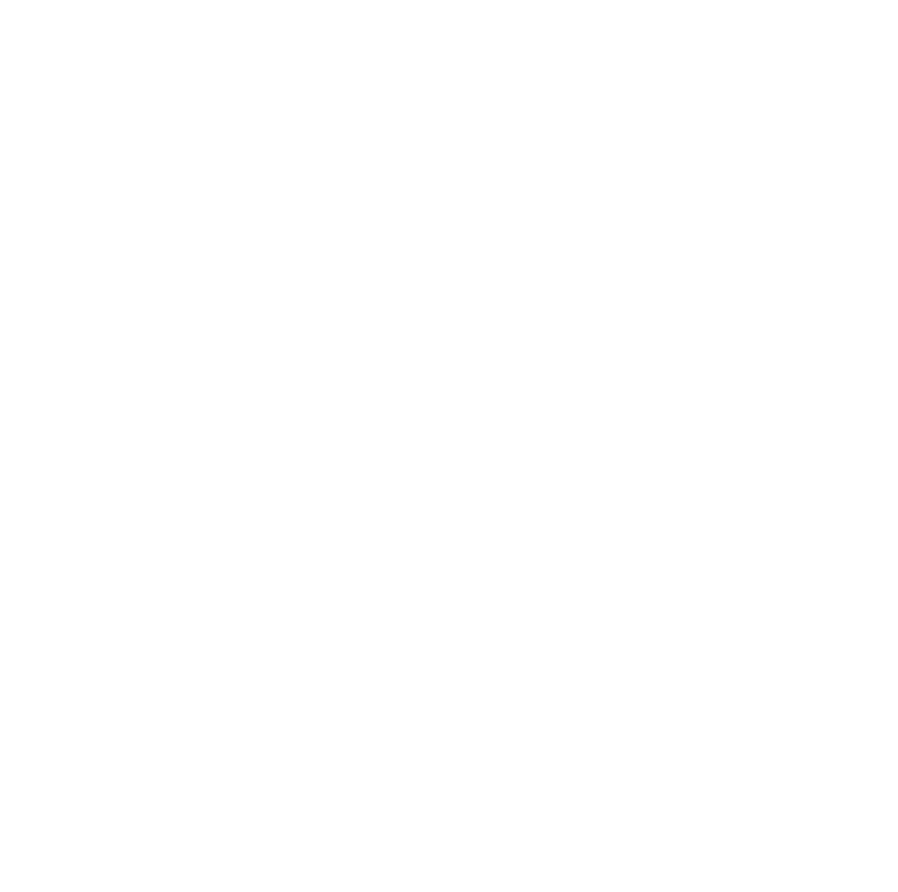 Professional IT solutions